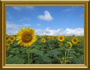 �������̍�i