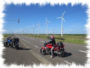 �I�g�����C���͔��d