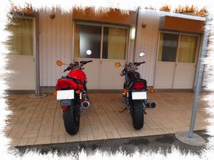 �t���o�C�N�X�e�[�V����