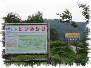 �s���l�V�����̉w