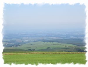 �i�C�^�C����