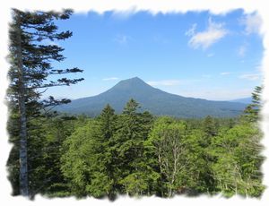 �Y�����x