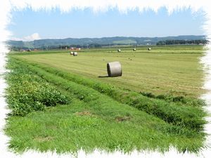 �q�����[��