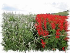 ����̃t�@�[��2