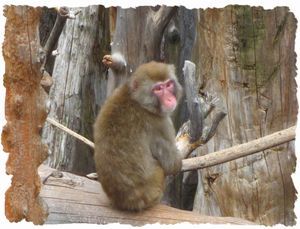 �j�z���U��