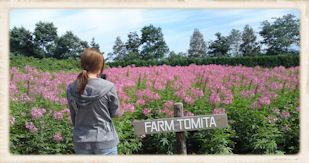 ファーム富田2
